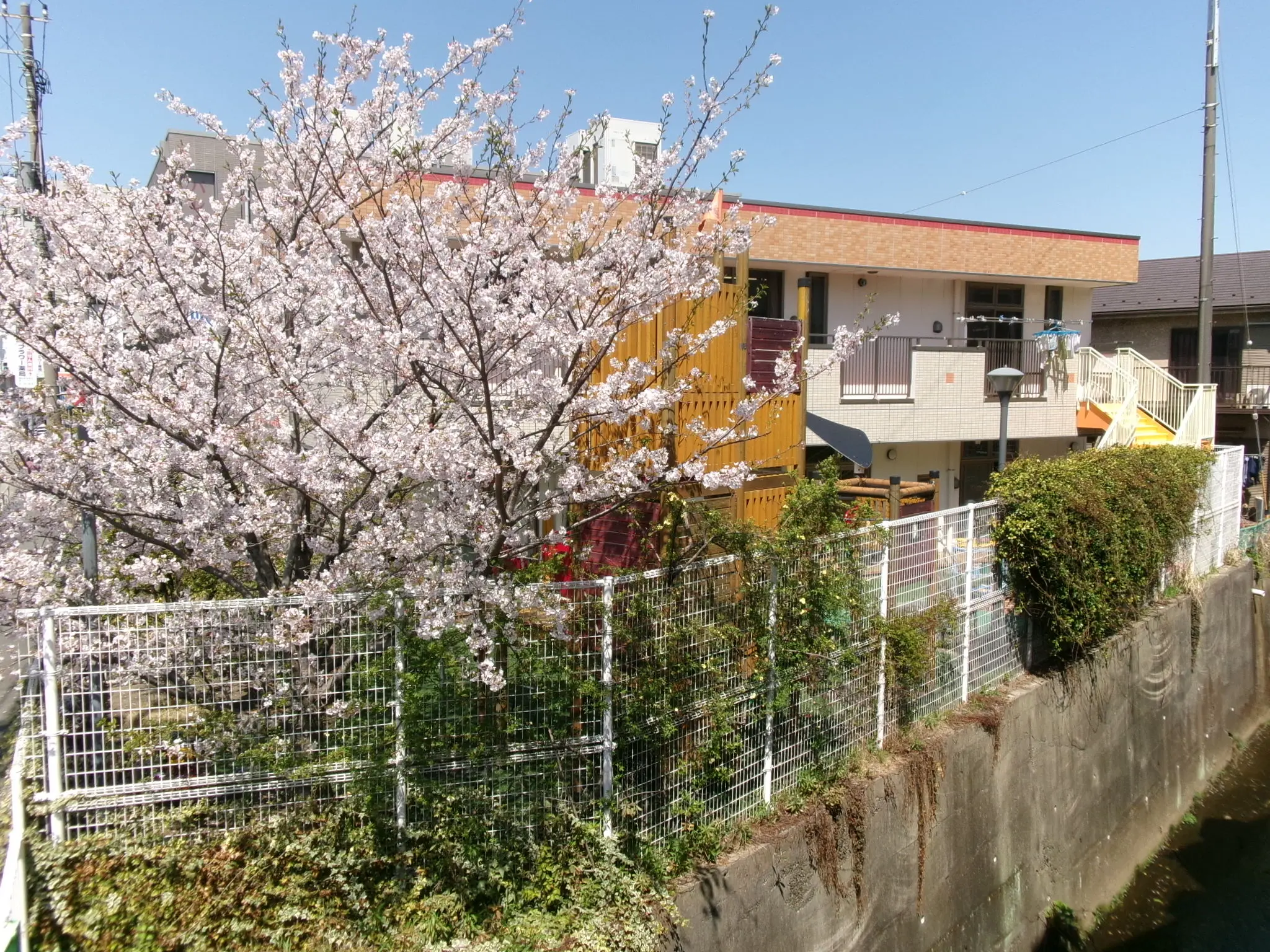 園舎 3